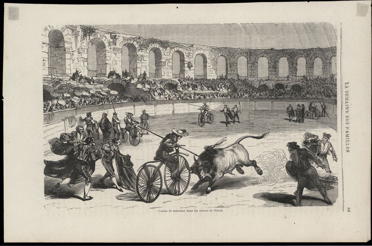 Course de taureaux dans les arènes de Nîmes