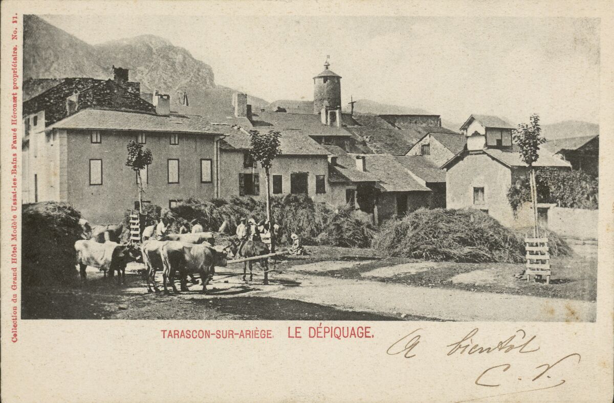Tarascon-sur-Ariège : Le dépiquage
