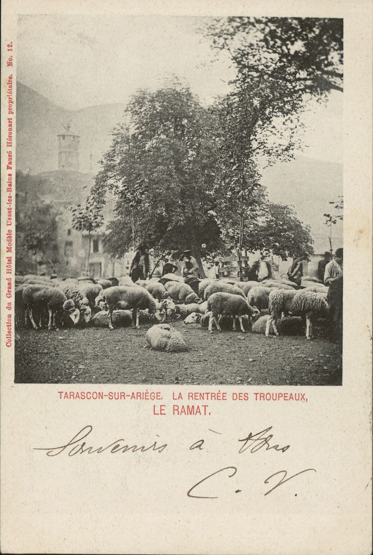Tarascon-sur-Ariège : La rentrée des troupeaux, le ramat