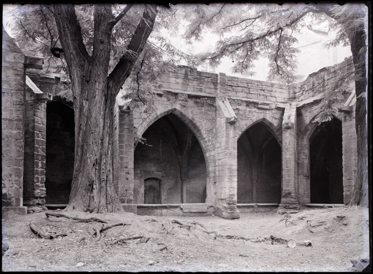[Collégiale Notre-Dame de Villeneuve-lès-Avignon] : [cloître, galerie sud]