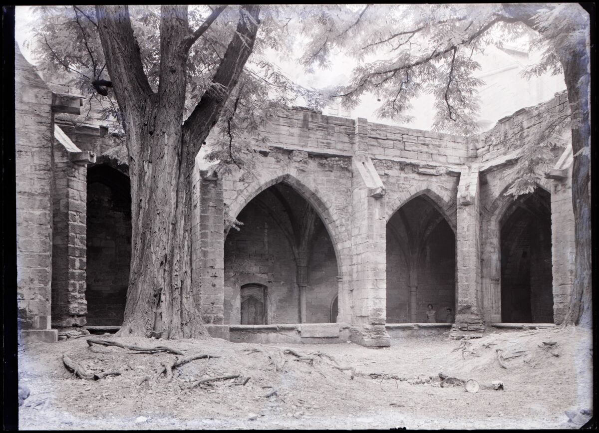 [Collégiale Notre-Dame de Villeneuve-lès-Avignon] : [cloître, galerie sud]