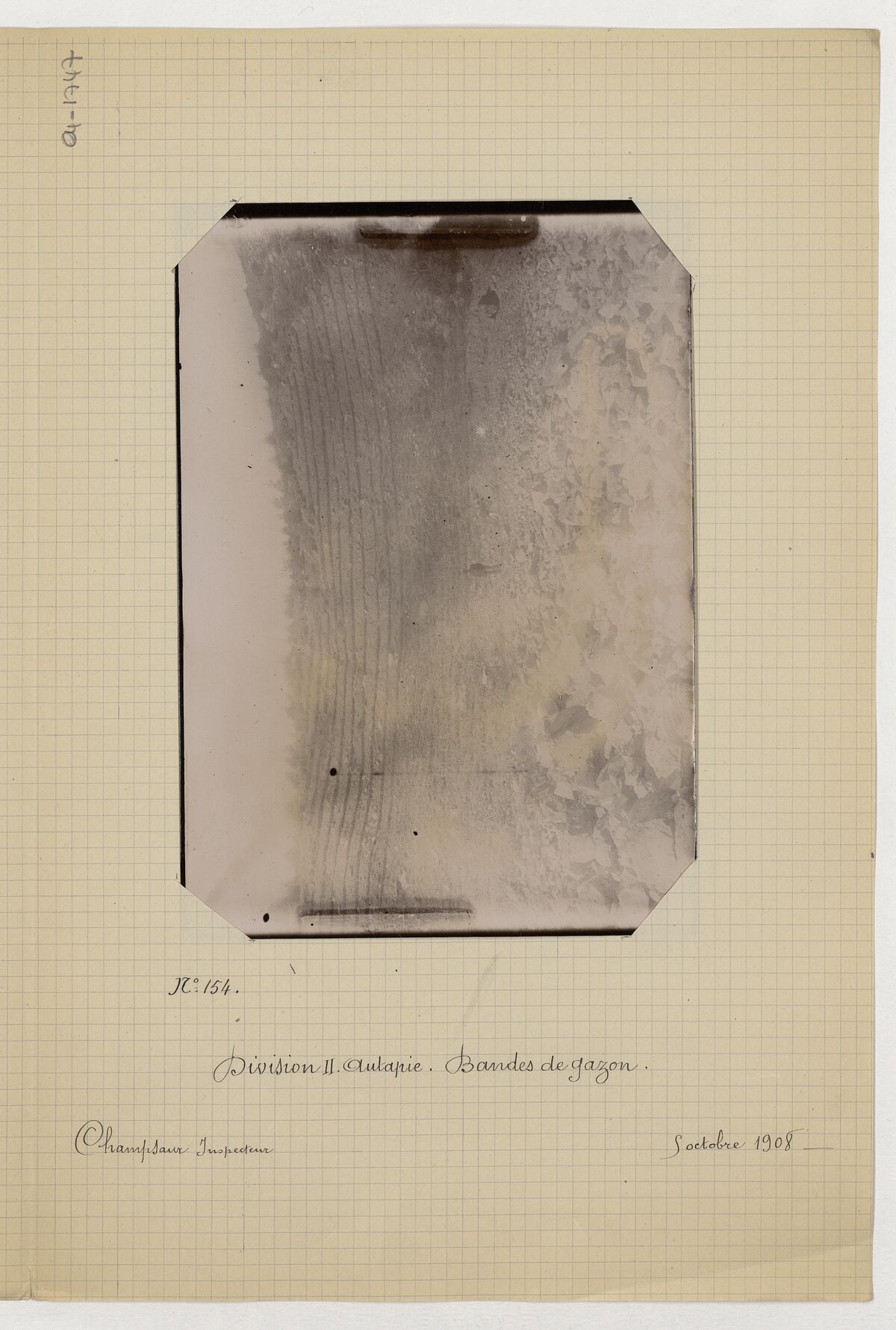 Division ii - Autapie (bandes de gazon, plantations de mélèzes) / Champsaur