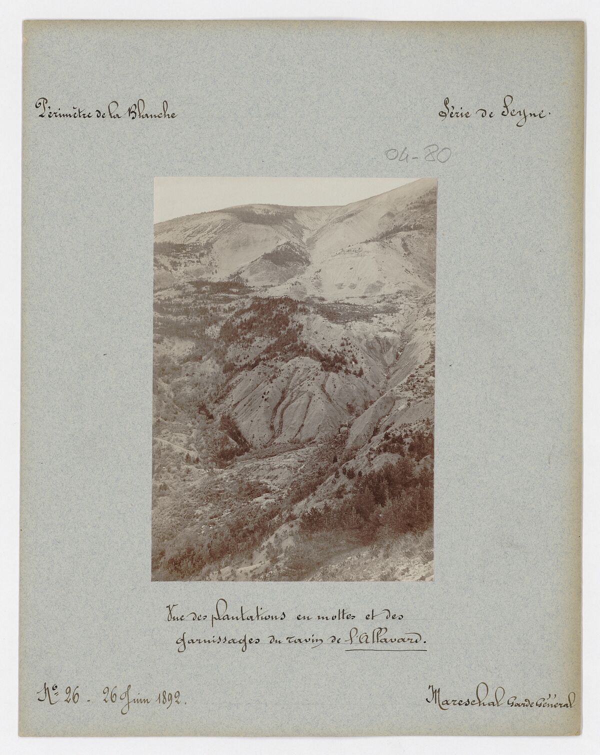 Ravin de l'Allavard : vue des plantations en motte et des garnissages / Mareschal