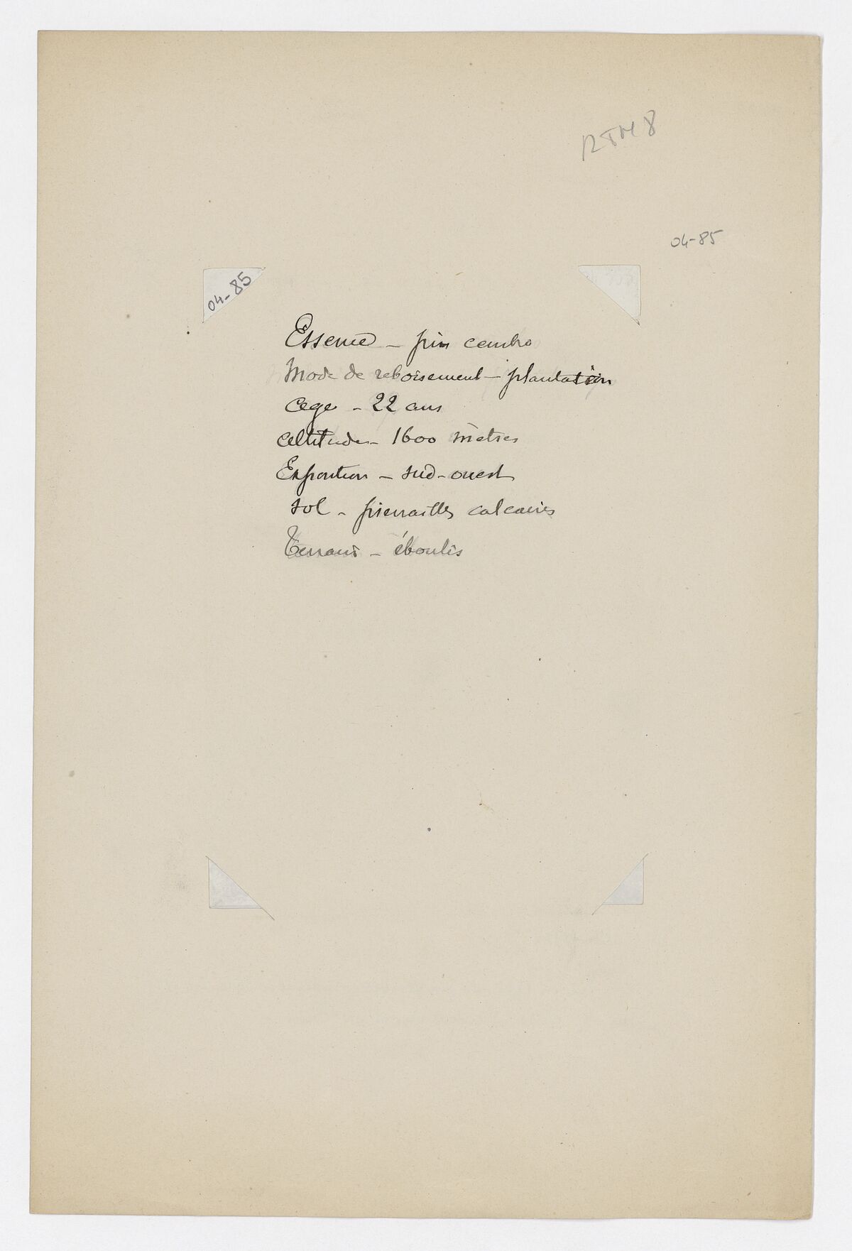 Vue en 1892 du pin Cembro planté le 30 septembre 1875 par Mr Faré, directeur général des forêts / Mareschal