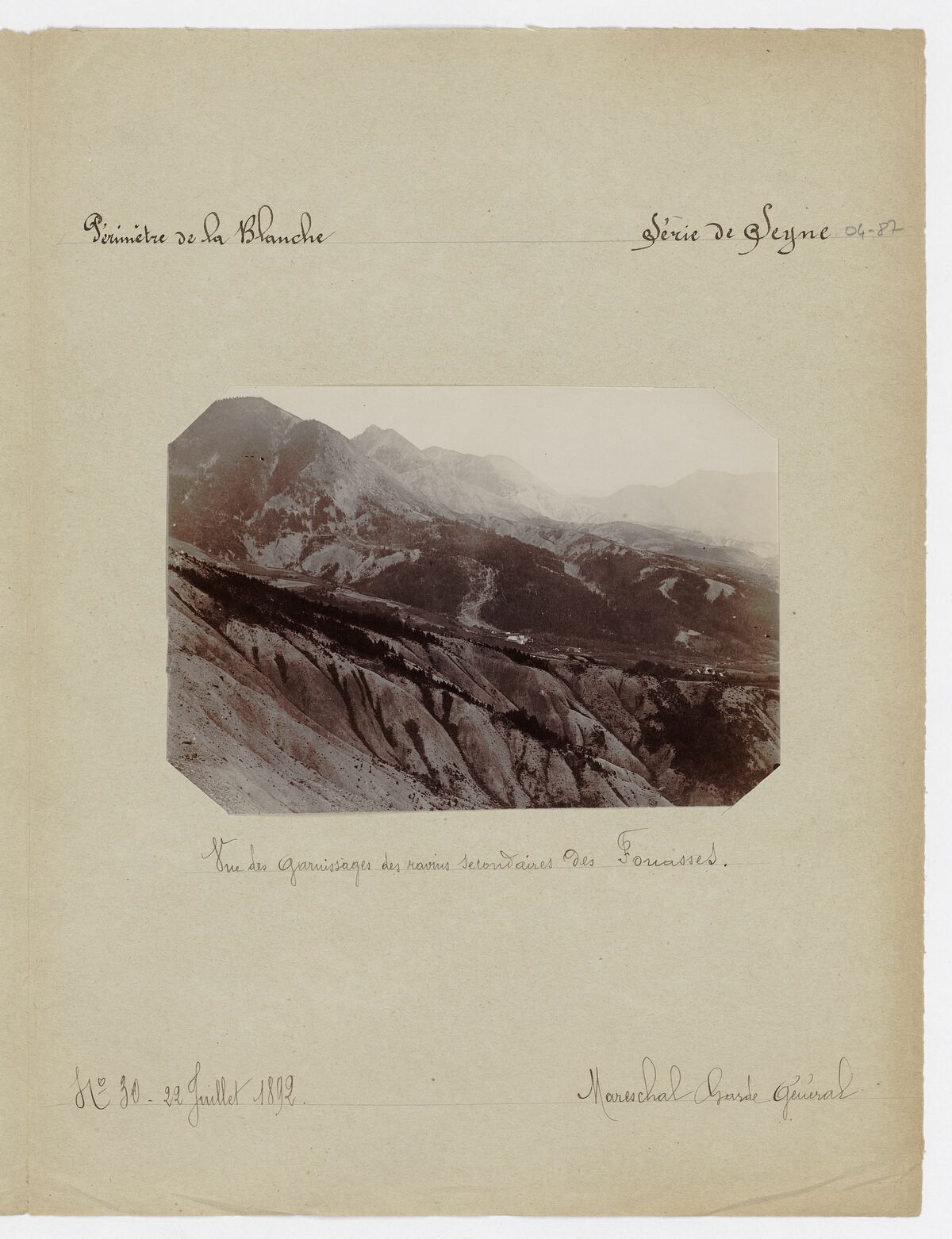 Vue des garnissages des ravins secondaires des Fouasses / Mareschal