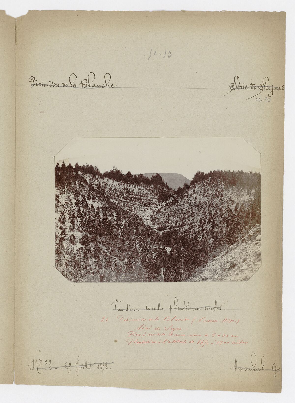 Combe plantée en mottes / Mareschal