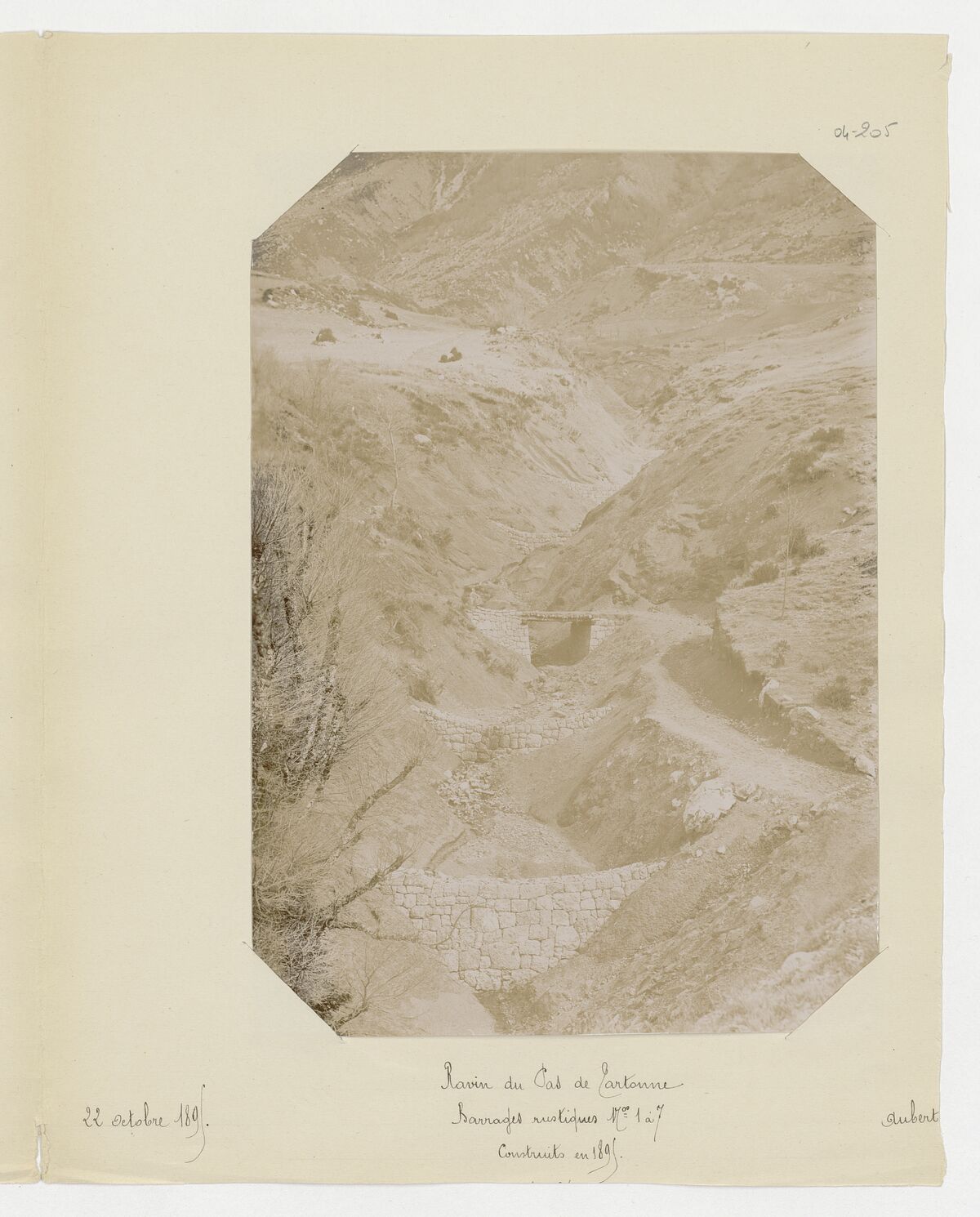 Ravin du pas de Tartonne (barre des Dourbes et ravin, barrages rustiques construits en 1895) / Aubert