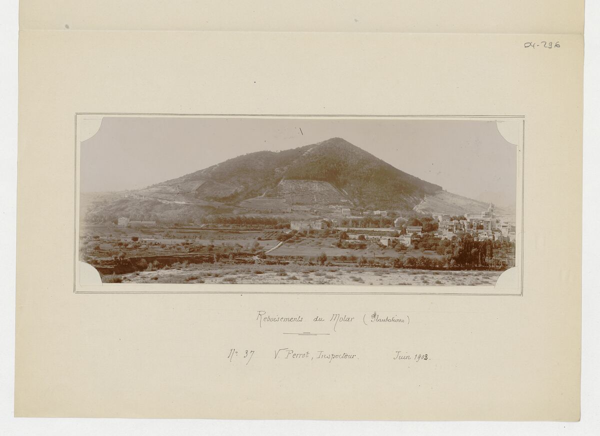 Molard ou mollard (cèdres de 40 ans, plantations, versant nord de la montagne) / Perrot
