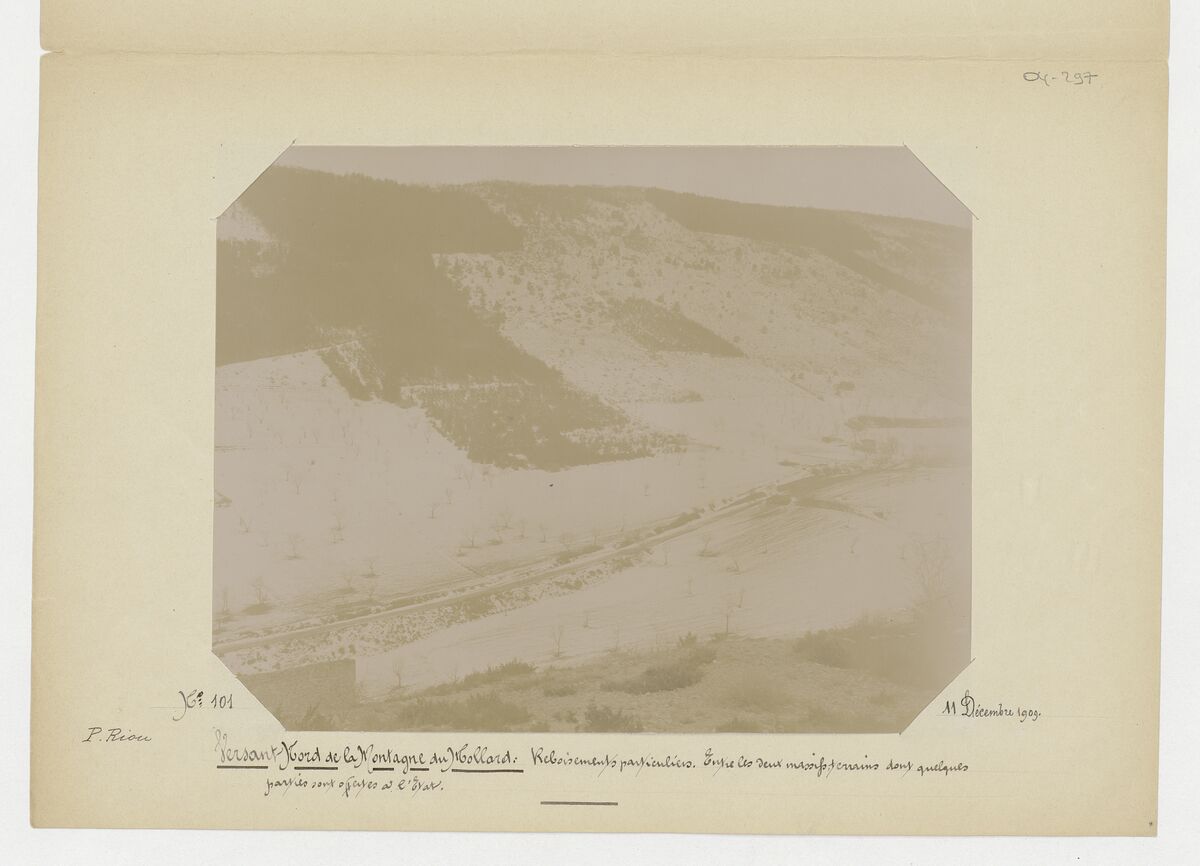 Molard ou mollard (cèdres de 40 ans, plantations, versant nord de la montagne) / Riou