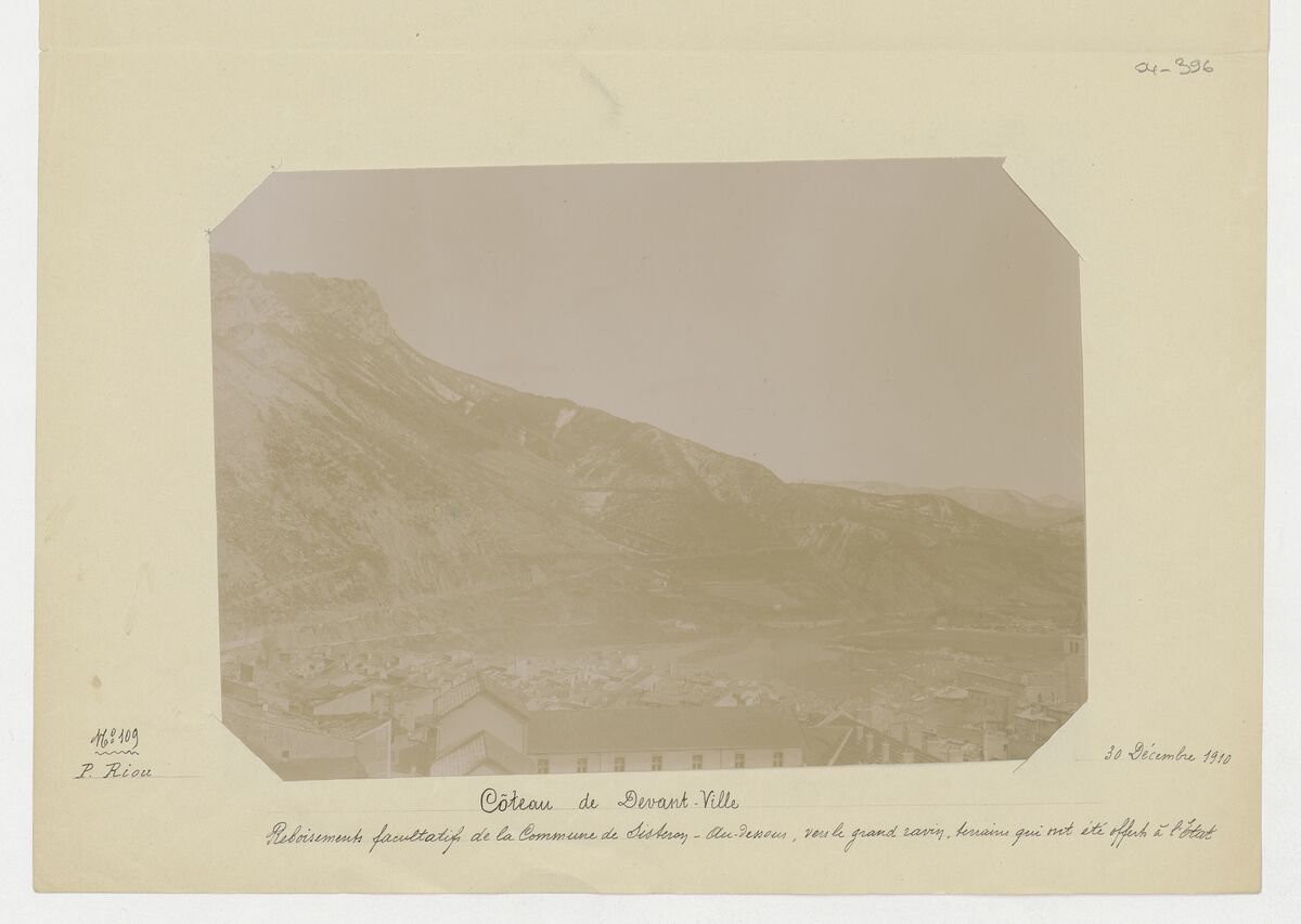 Coteau de devant-ville (reboisement) / Riou