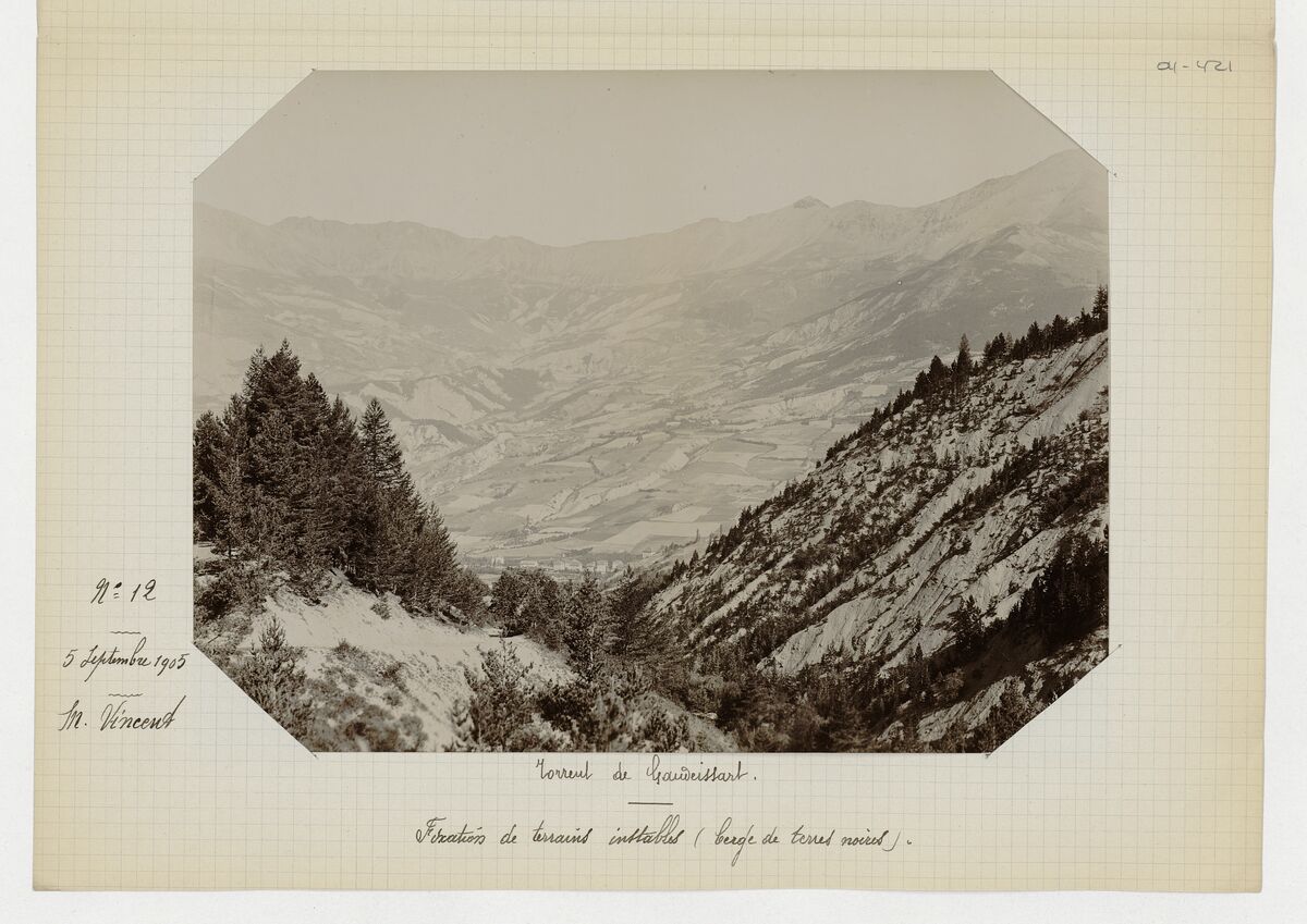 Torrent de Gaudeissart (plantation d'éclats de bauche et de feuillus en cordons horizontaux, garnissages et embroussaillement de ravins secs, ravins creusés dans les terres noires, plantations) / Vincent