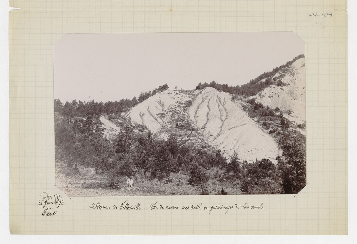 Ravin de Villevieille (garnissages de ravins secs) / Sardi
