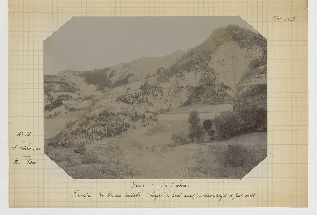 Division I - les Combes (plantations de pins noirs et garnissages de berges) / Barré