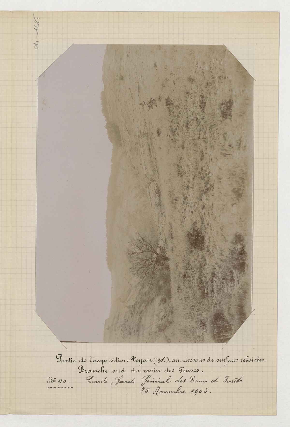 Ravin des Graves (branche sud) / Comte