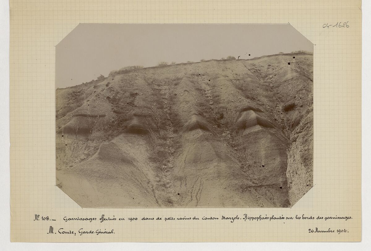 Canton Marzols (garnissages de petits ravins) / Comte