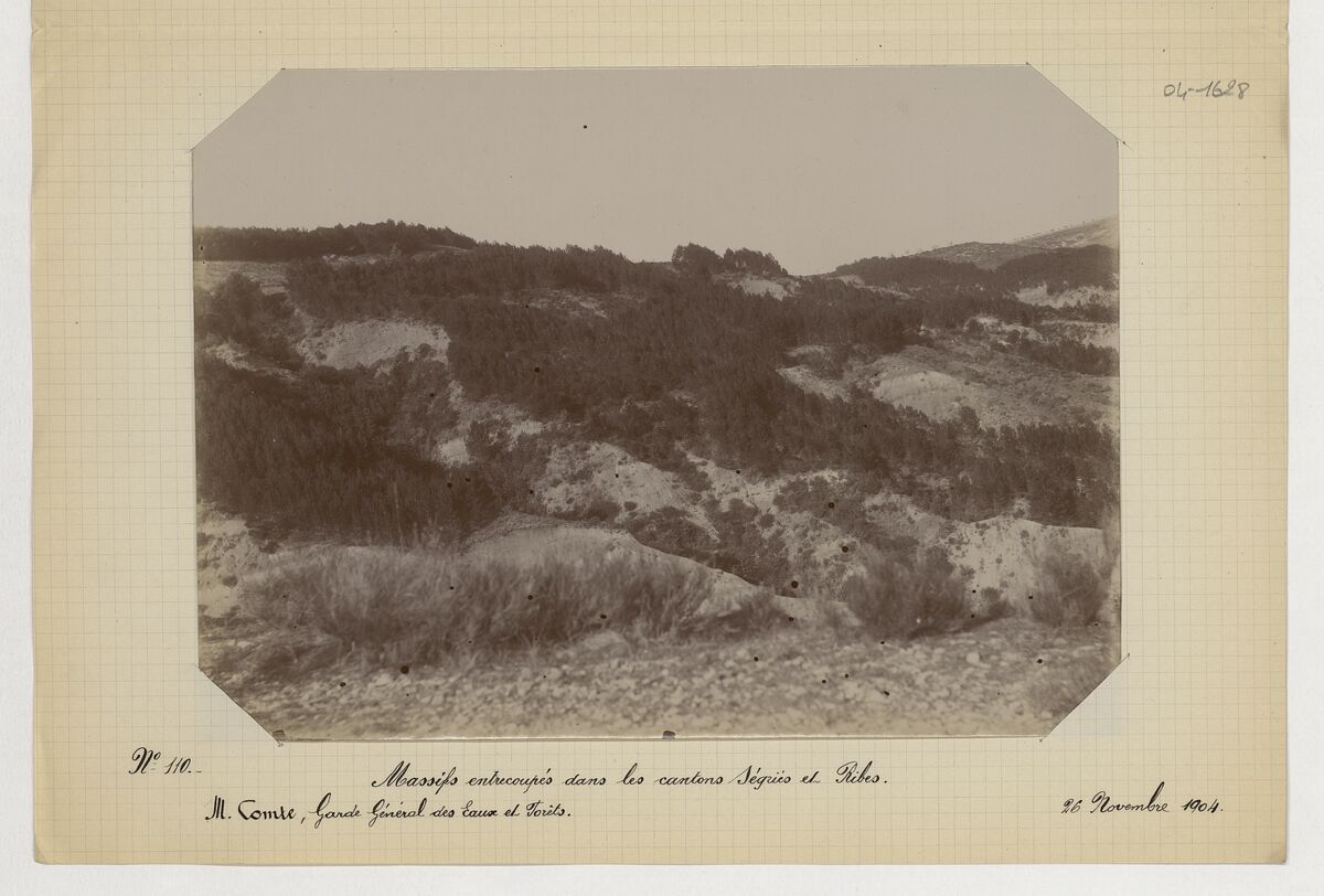 Cantons de Ségriès et Ribes (massifs forestiers) / Comte