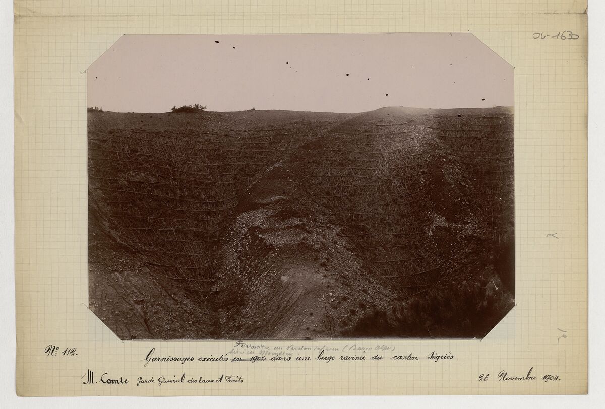Canton de Ségriès (massif de pins d'Alep, garnissages dans une berge ravinée) / Comte