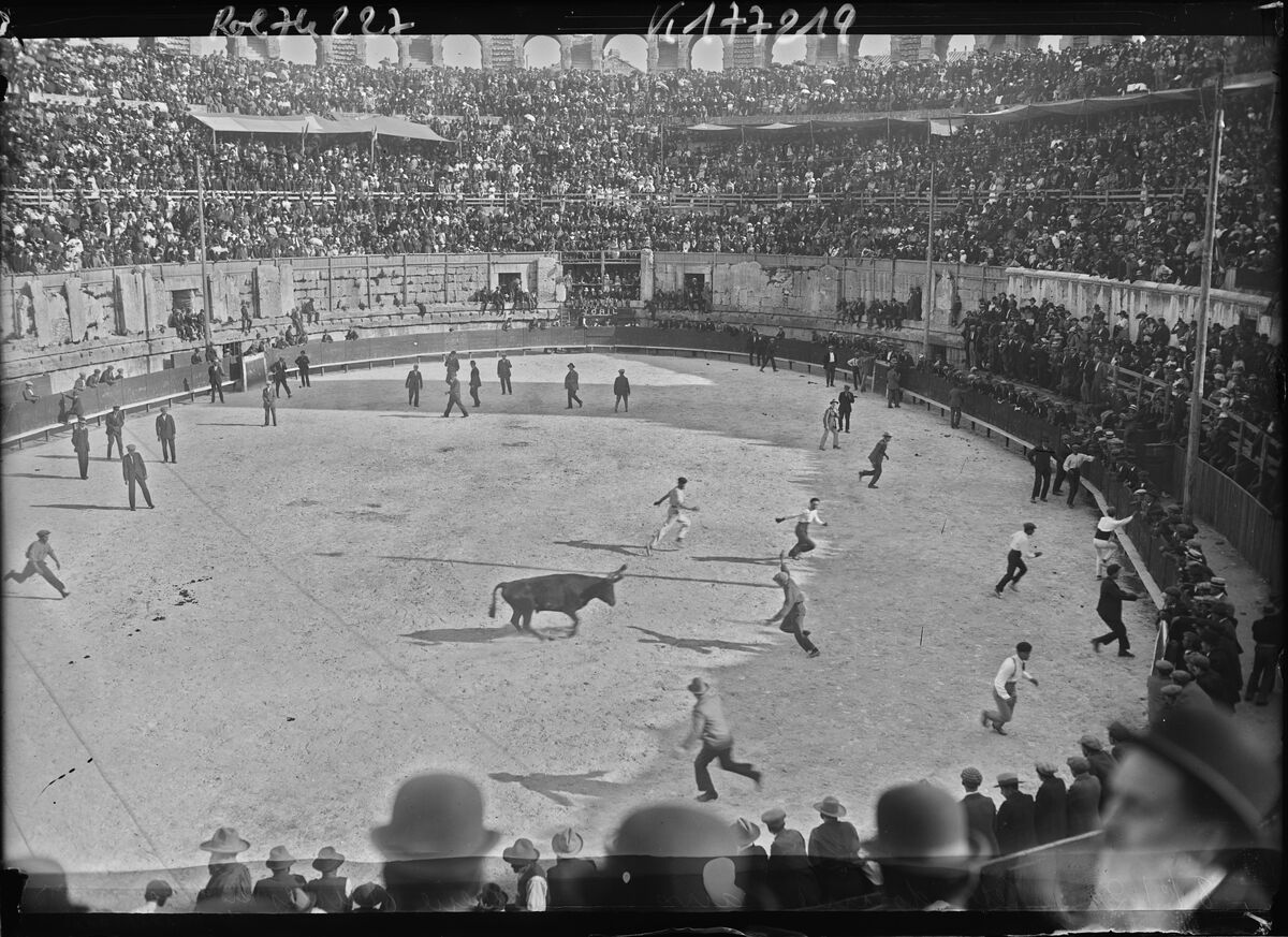 8/5/22, fête donnée aux arènes d'Arles en l'honneur de Millerand [lors de son voyage présidentiel] : [photographie de presse] / [Agence Rol]