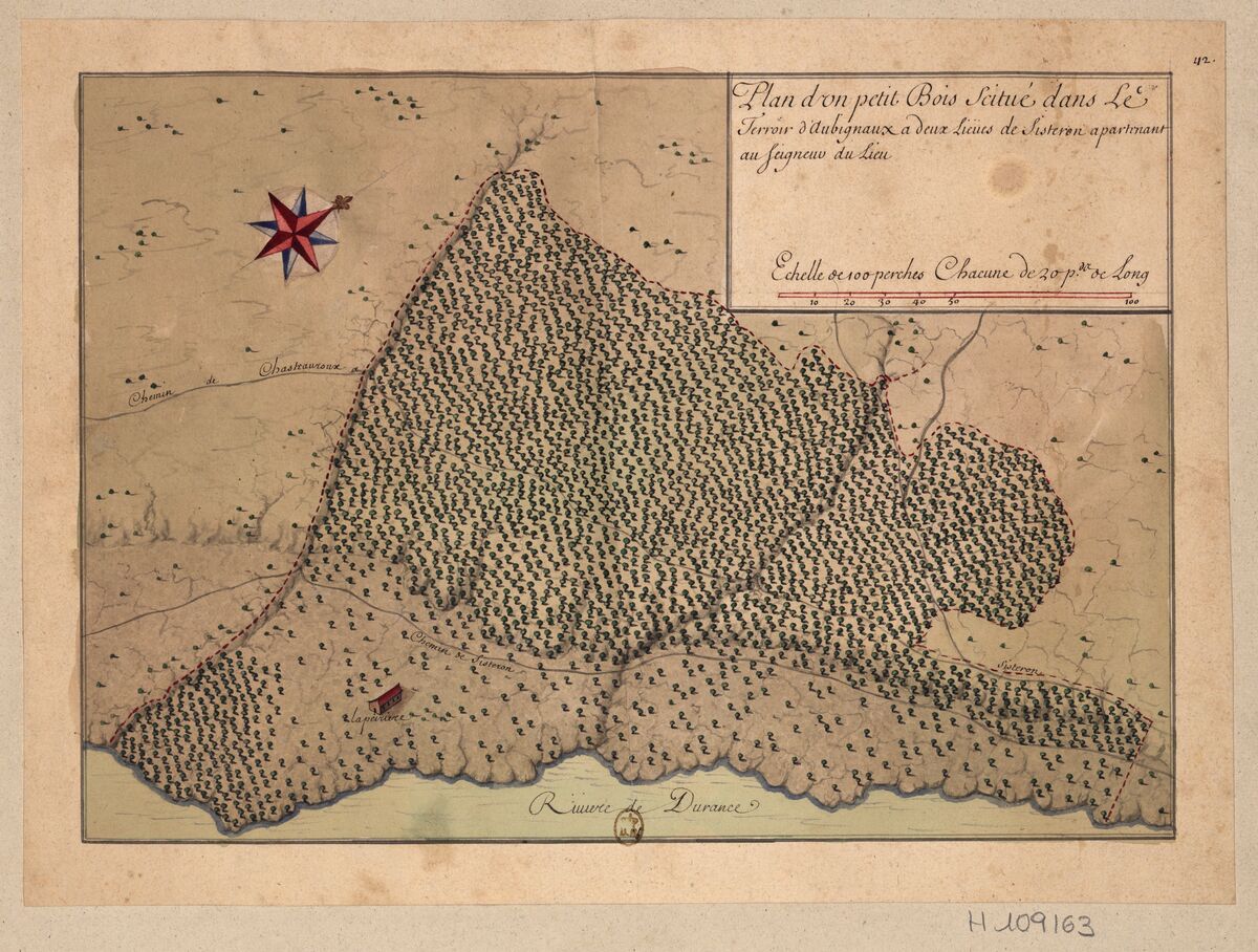 Plan d'un petit Bois situé dans Le // Terroir d'Aubignaux a deux lieues de Sisteron apartenant // au Seigneur du Lieu : [dessin] / [Non identifié]
